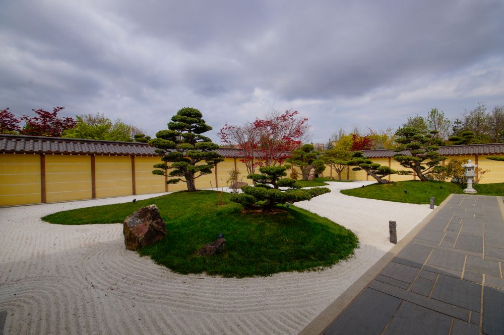 Rośliny do ogrodu japońskiego