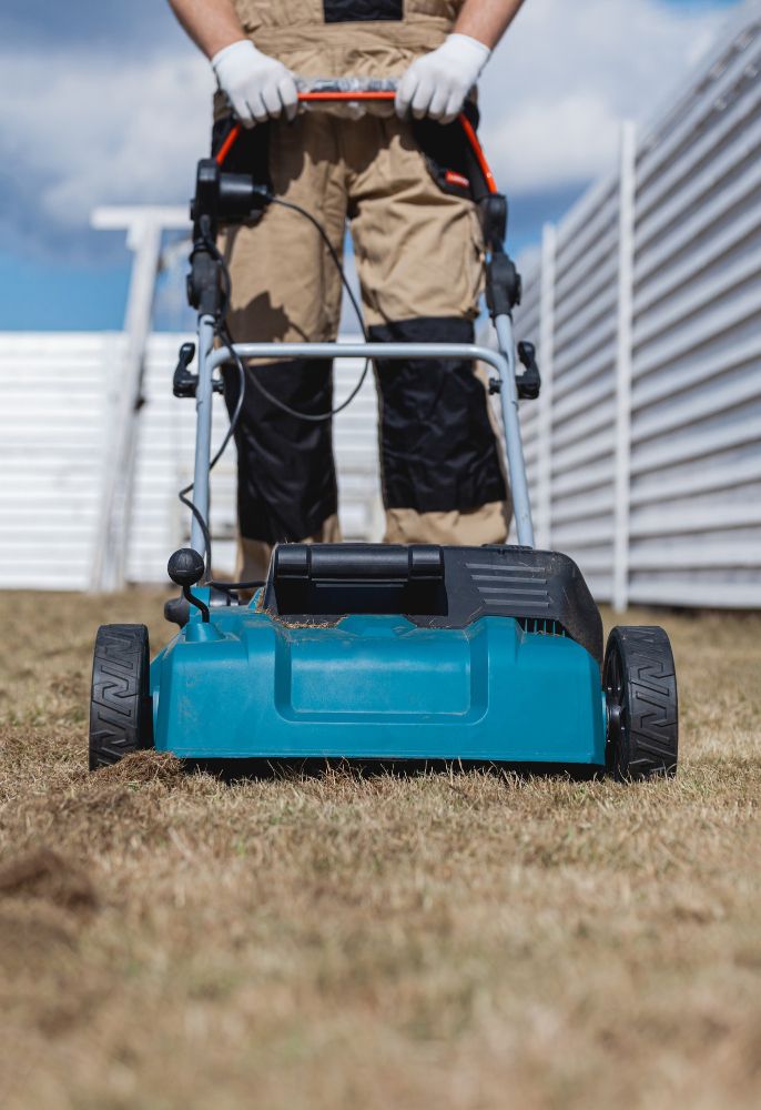 Wertykulacja trawnika