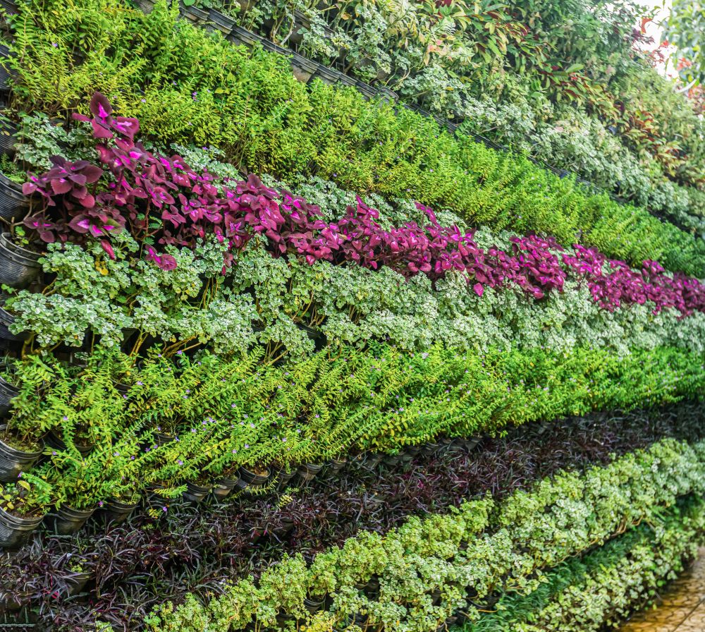 Zielona ściana na zewnątrz