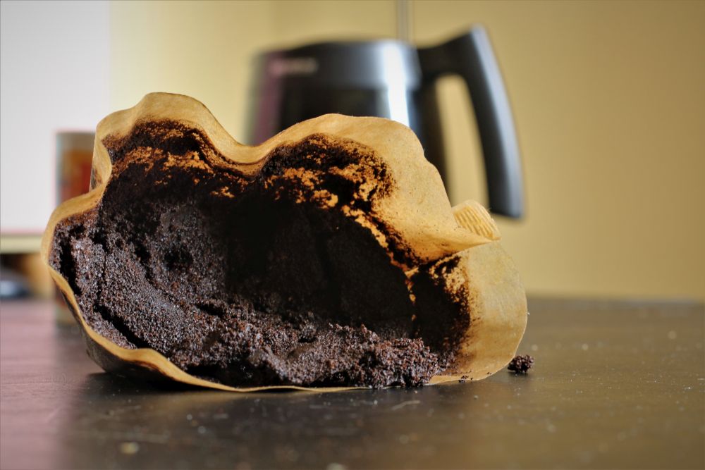 Fusy z kawy do jakich roślin