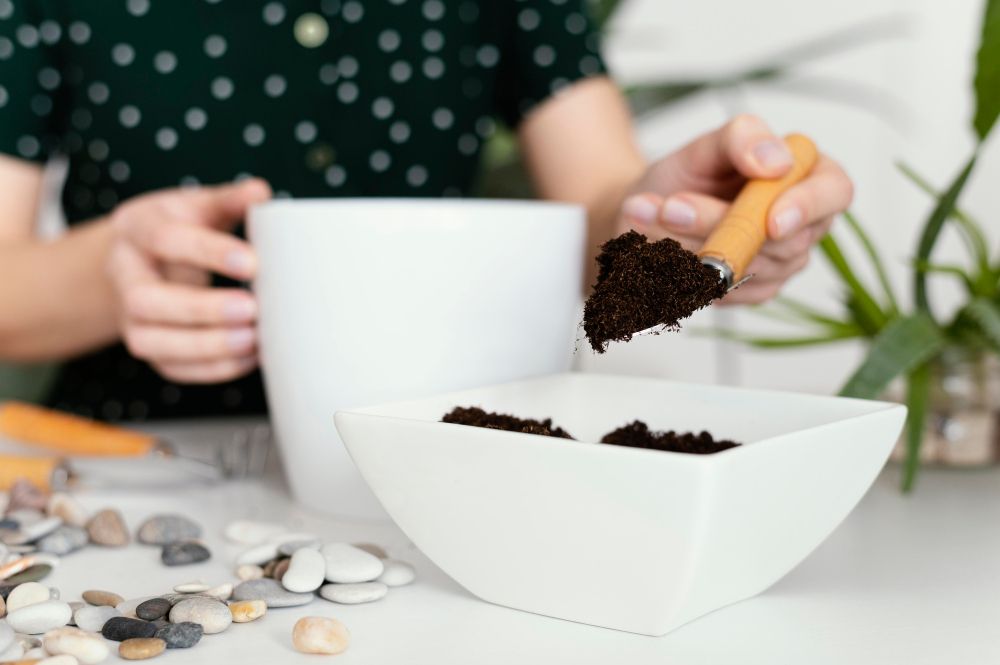 Fusy z kawy do roślin domowych