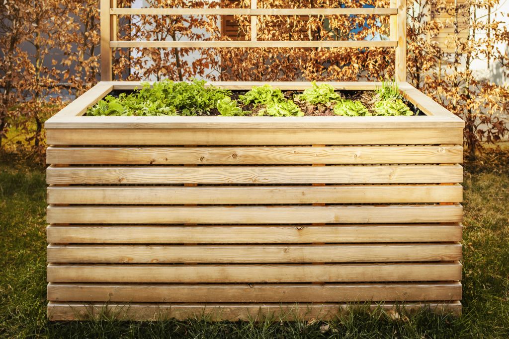 Gdzie kupić podwyższone grządki