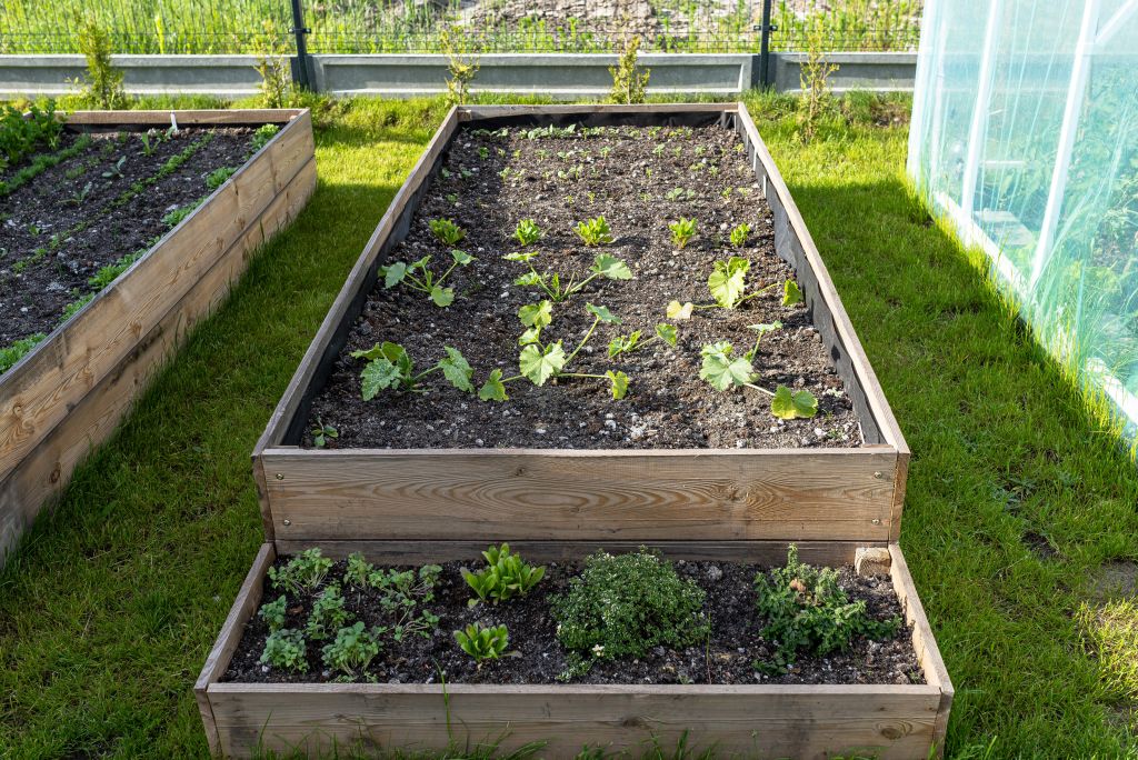 Grządki na podwyższeniu