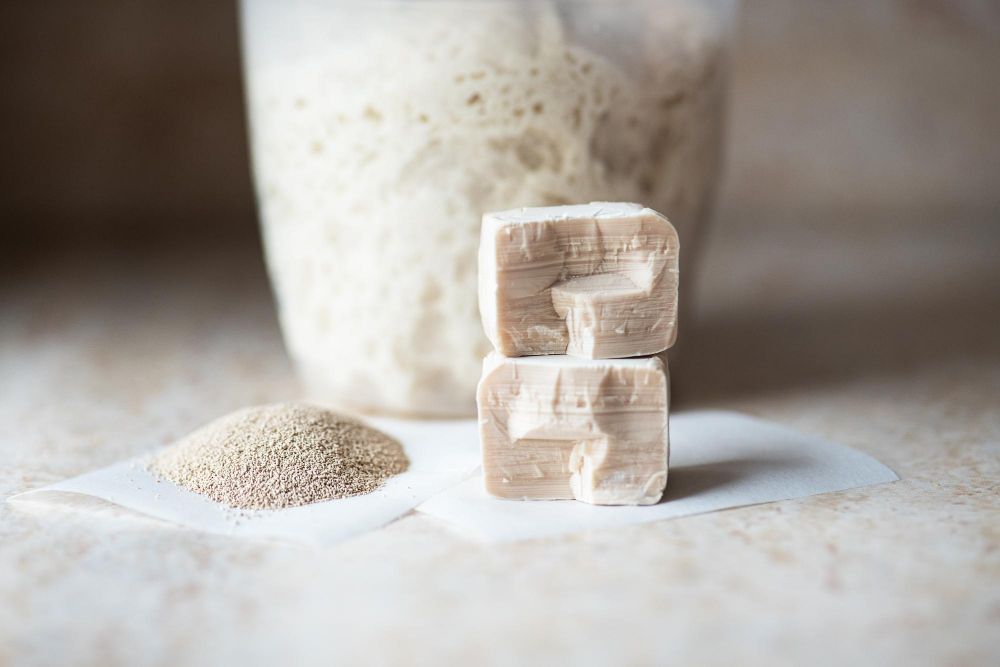 Jakie rośliny podlewać drożdżami?