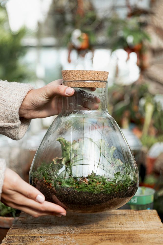 Las w słoiku jak zrobić