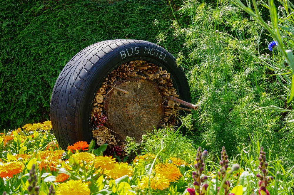 Opona jako dom dla owadów