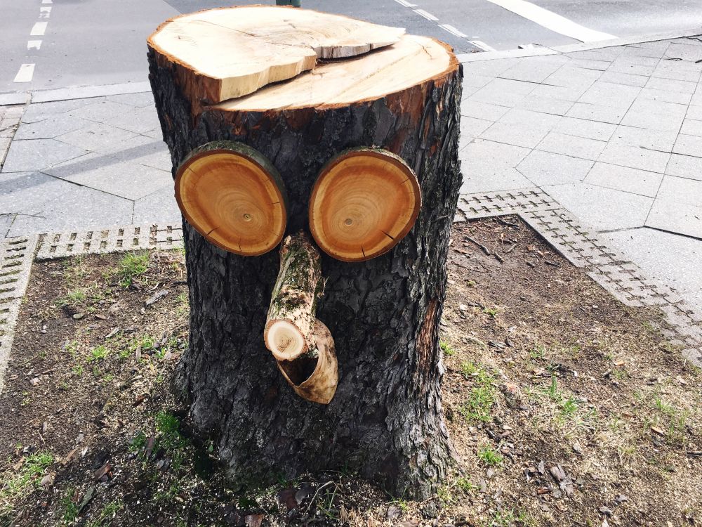 Ozdoba wykonana z pnia drzewa