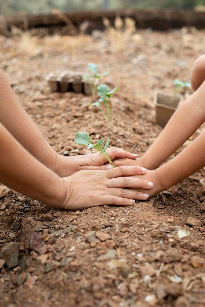 Permakultura w ogrodzie ziemia