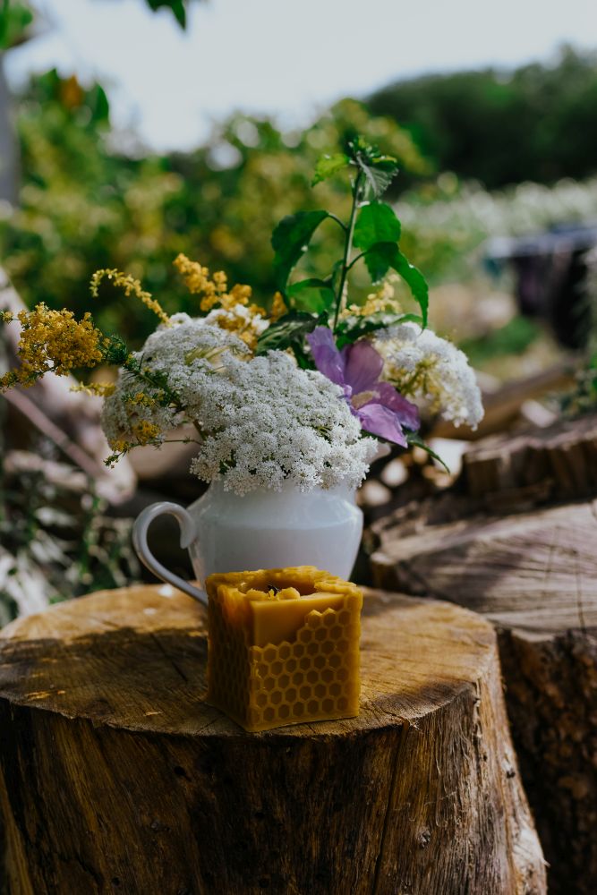 Pień jako stolik na kwiaty