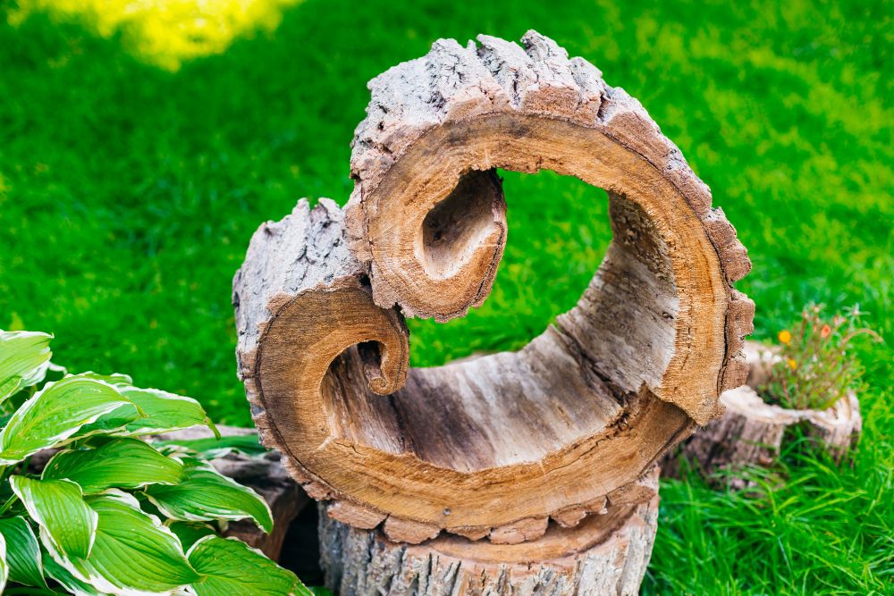 Serce wykonane z pnia drzewa