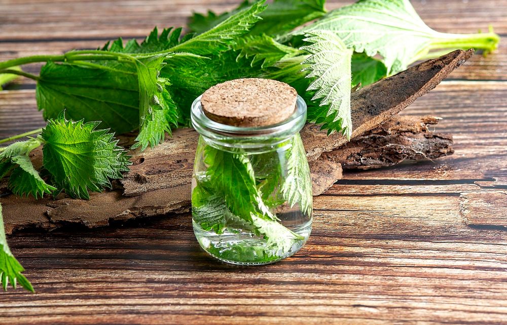 Jak długo może stać gnojówka z pokrzyw