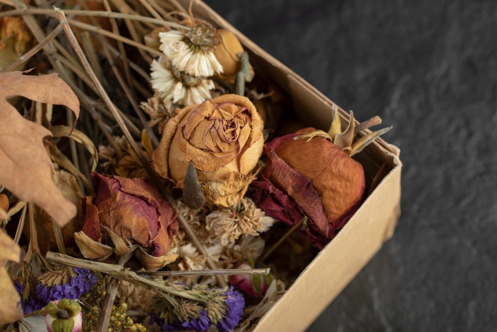 Jak suszyć kwiaty w domu
