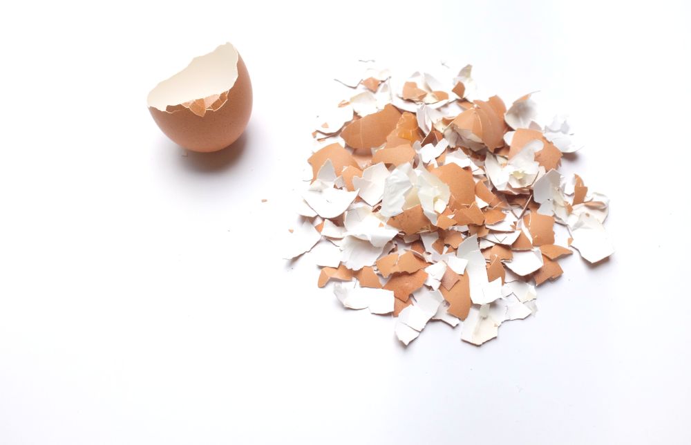 Pokruszone skorupki jaj