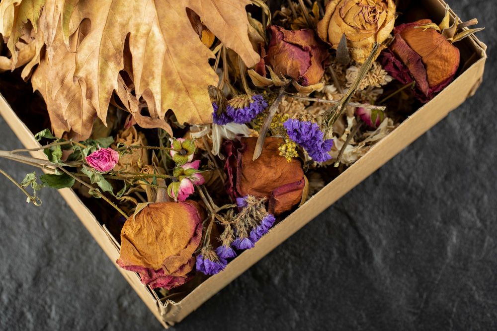 Suszone kwiaty