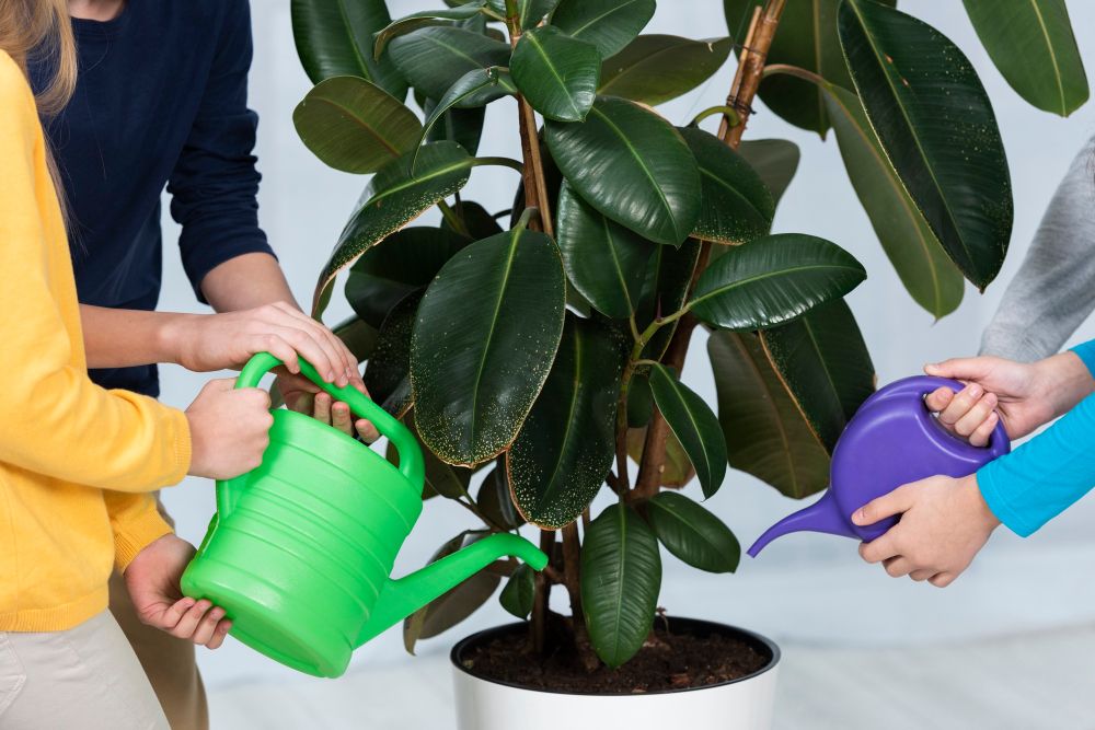 Jak uratować przelane kwiaty