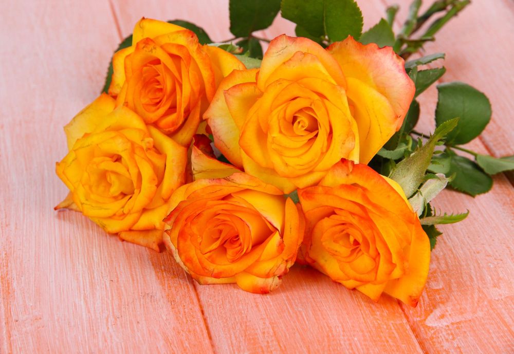 5 pomarańczowych róż znaczenie