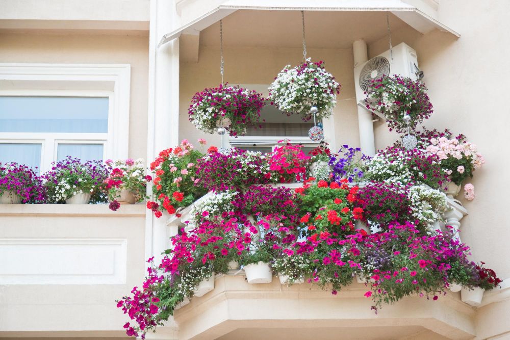 Balkon i zwisające kwiaty doniczkowe