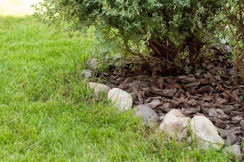 Kora i kamienie w ogrodzie pod drzewem