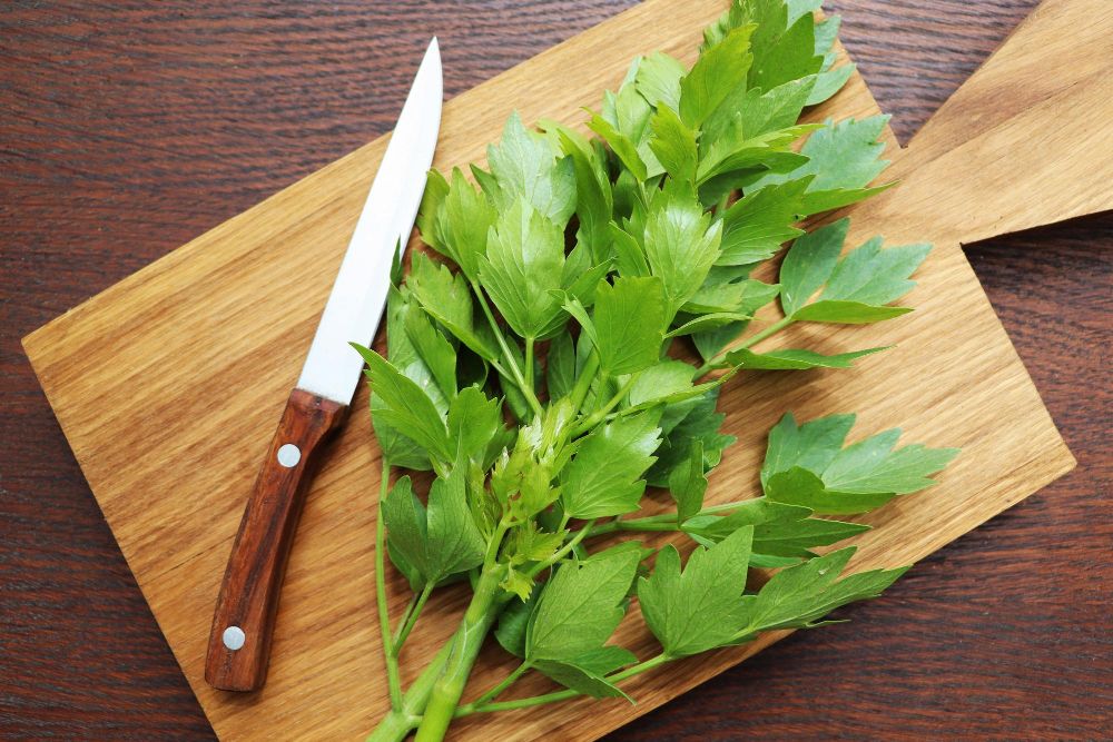 Lubczyk ogrodowy zioła w kuchni