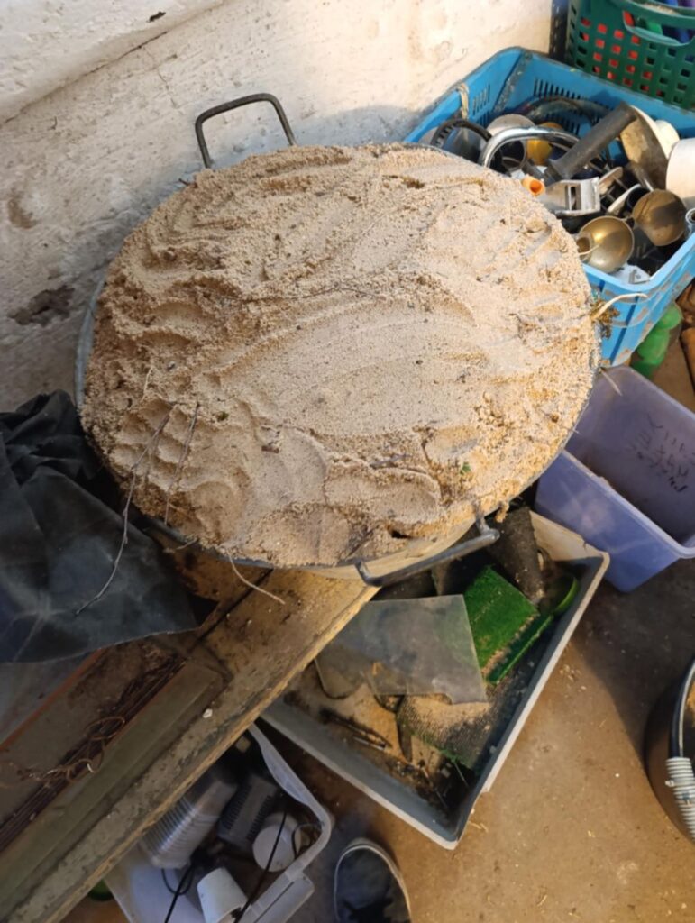 Zakopywanie warzyw w piasku na zimę