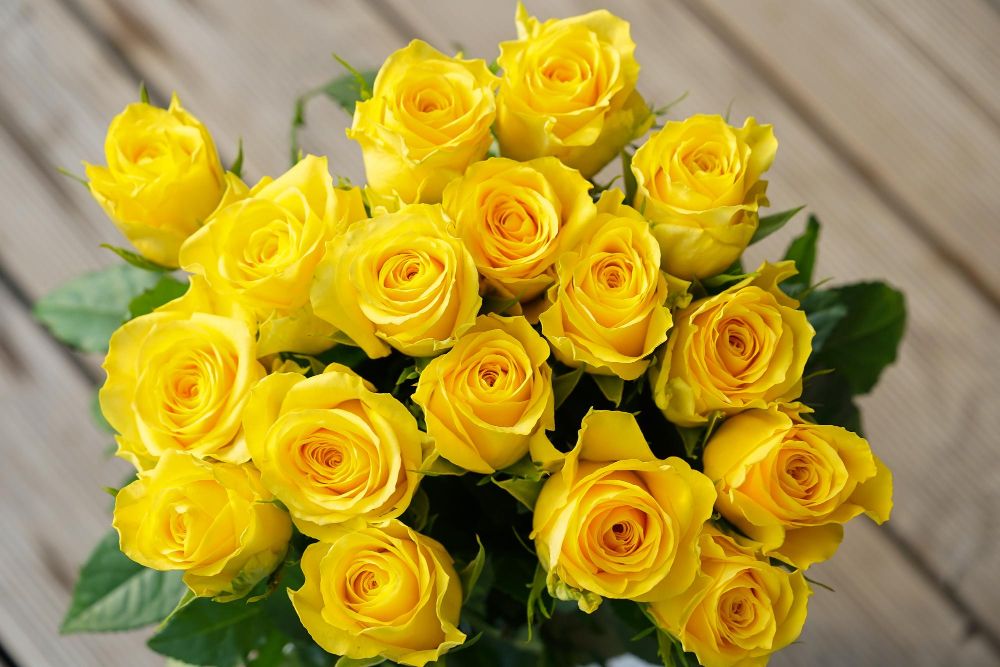 Co oznacza żółta róża