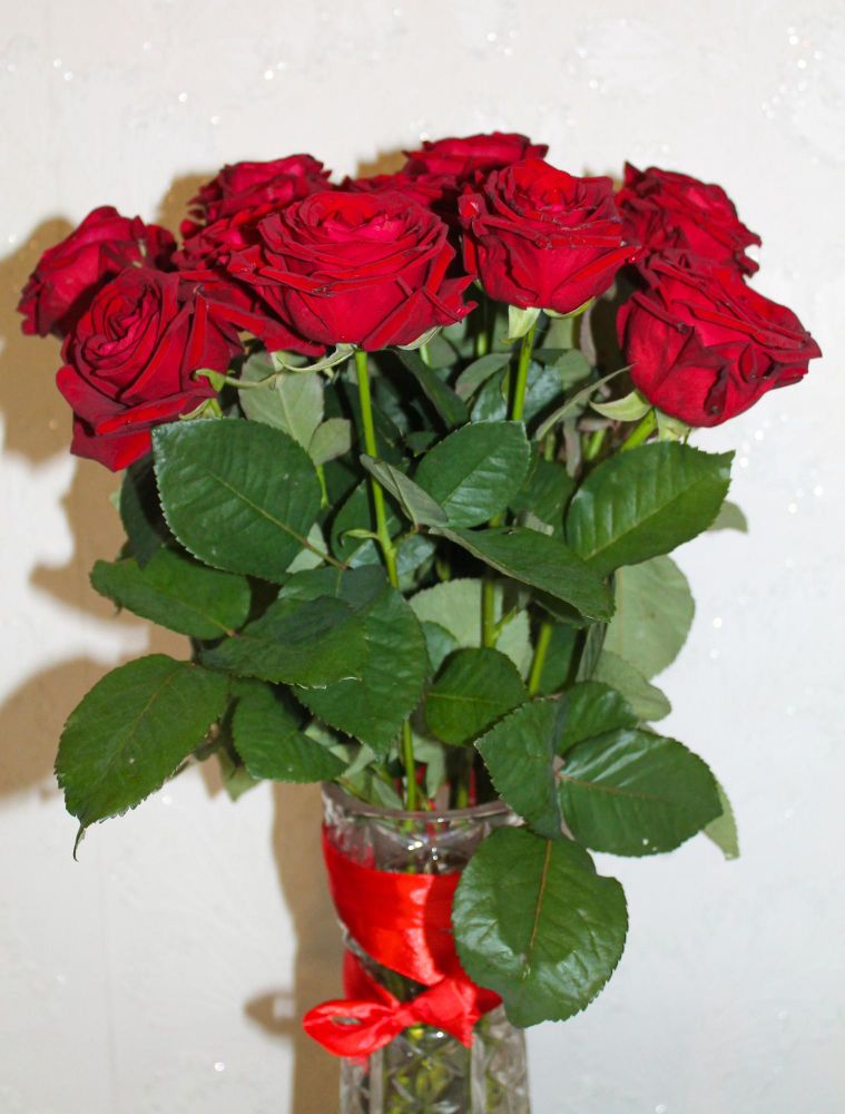 Co znaczy czerwona róża