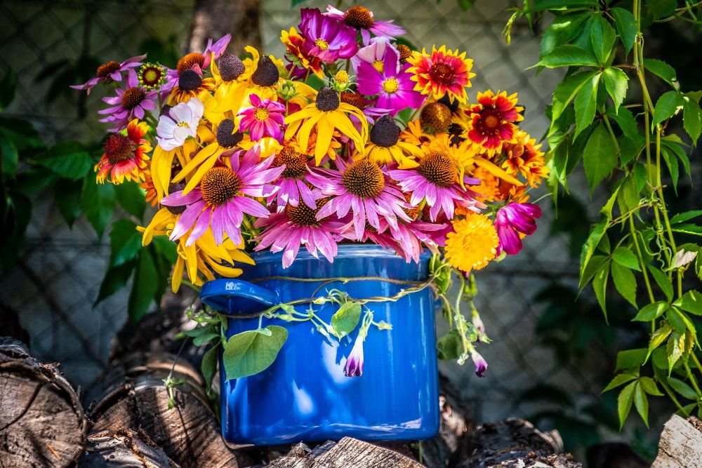 Długo kwitnące kwiaty wieloletnie do ogrodu