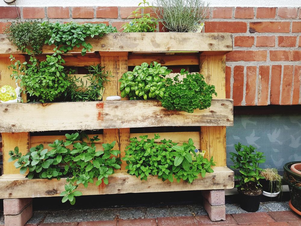 Donice z palet na zioła