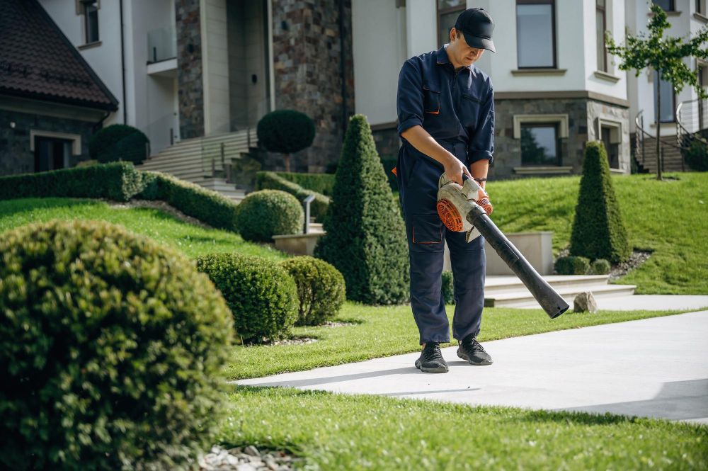 Jaka dmuchawa do liści