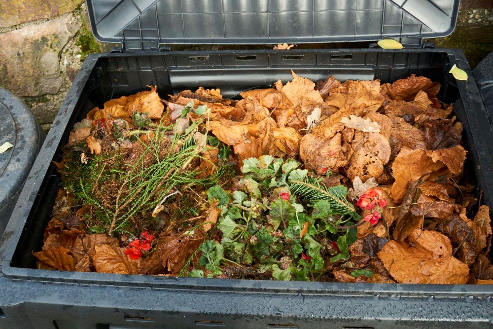 Kompostownik plastikowy