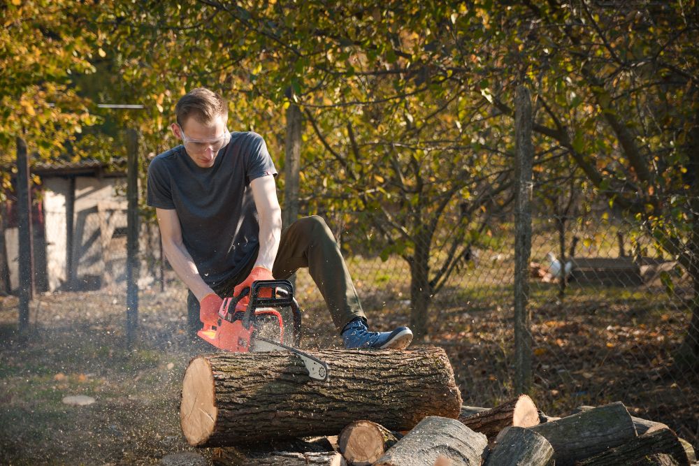 Wycinka drzew na działce