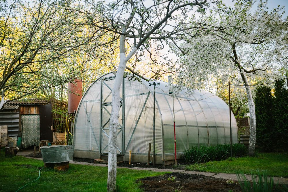 Zabezpieczenie szklarni na zimę