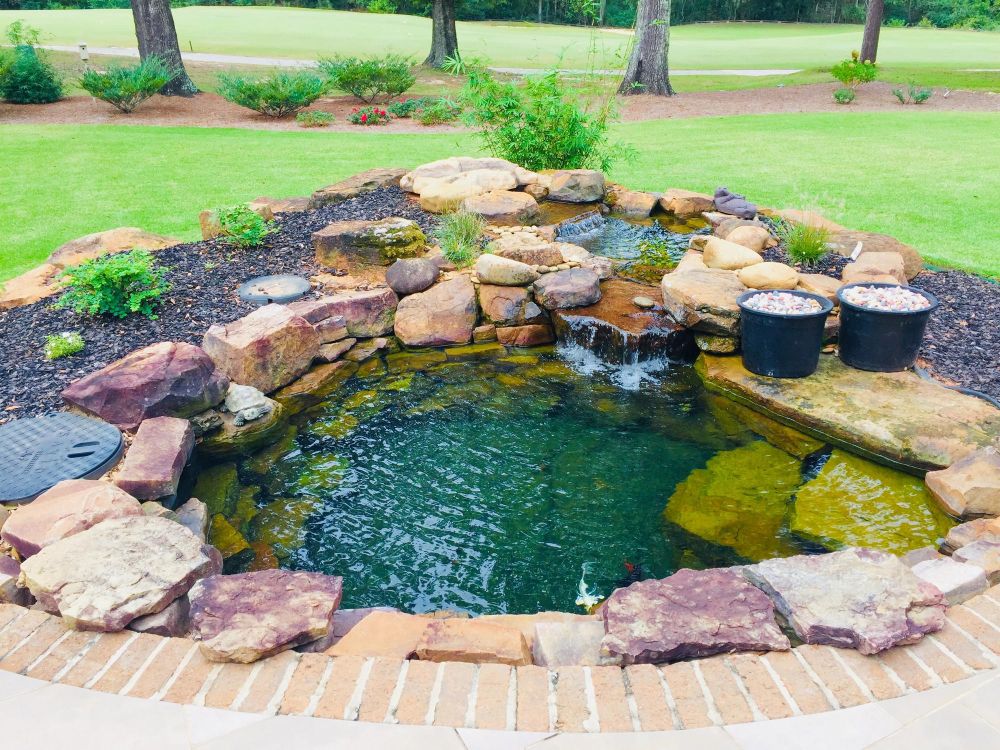 Oczko wodne w ogrodzie jak zrobić