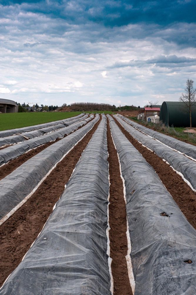 Agrowłóknina czarna