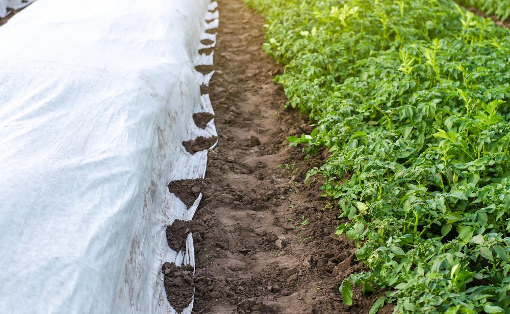 Agrowłóknina do ogrodu