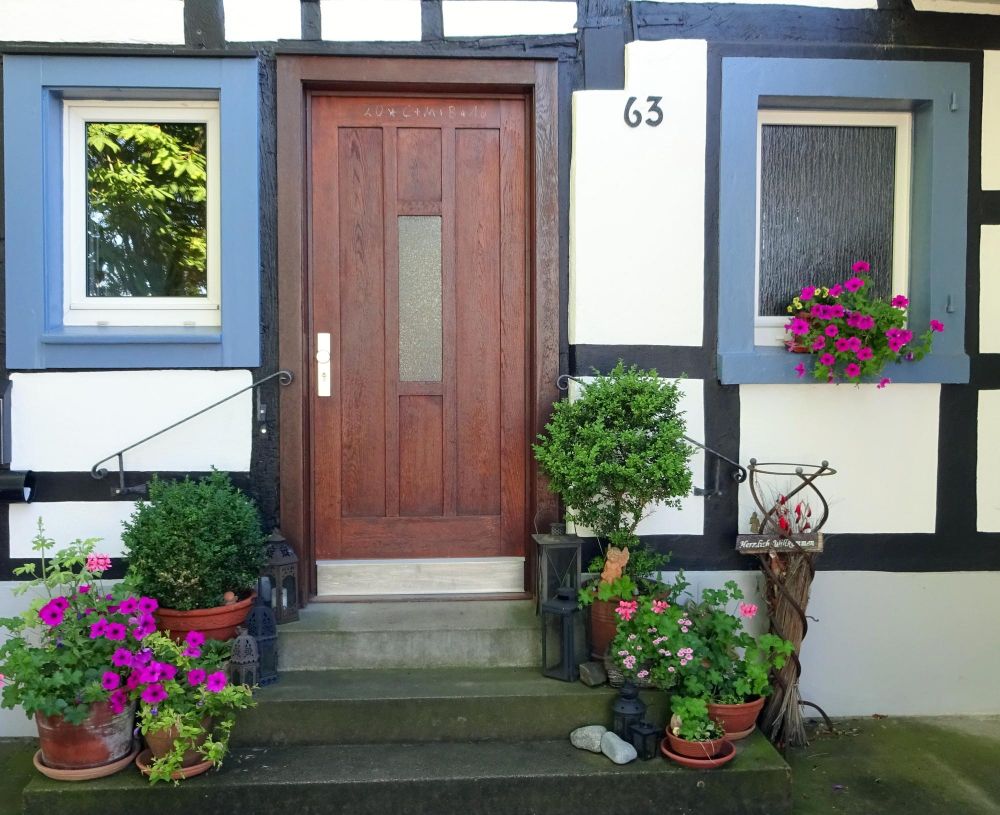 Jakie kwiaty przed dom