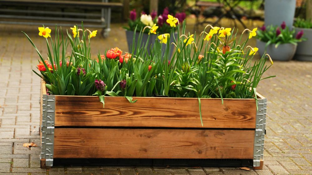 Korytka do kwiatów