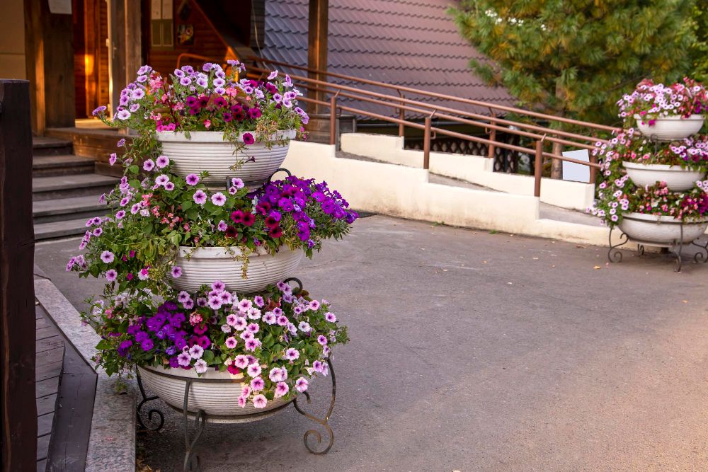 Kwiaty przed wejściem do domu