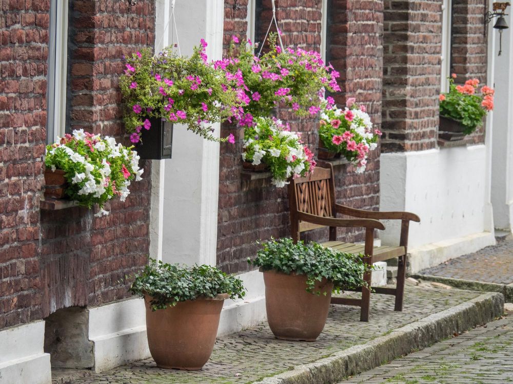 Rośliny w donicach przed domem