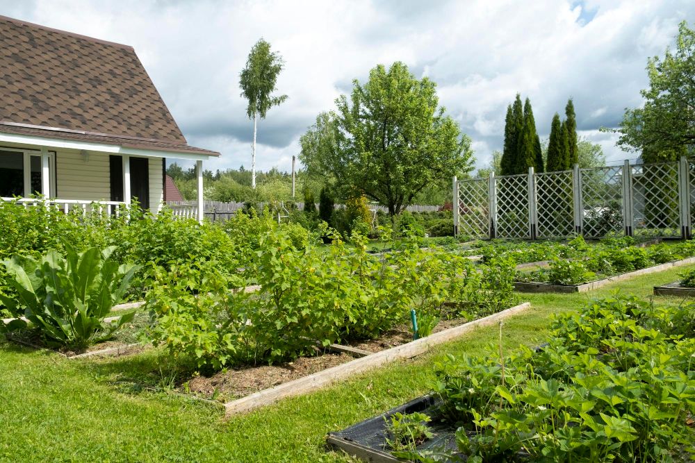 Ogródek przed domem na wsi