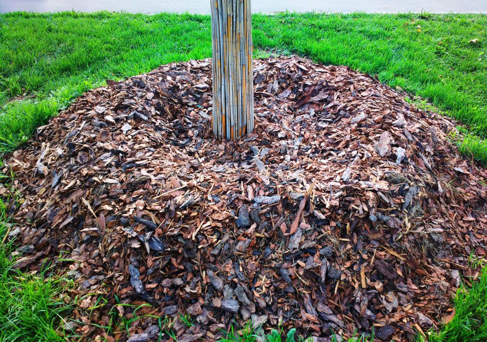 Kora ogrodowa pod drzewa