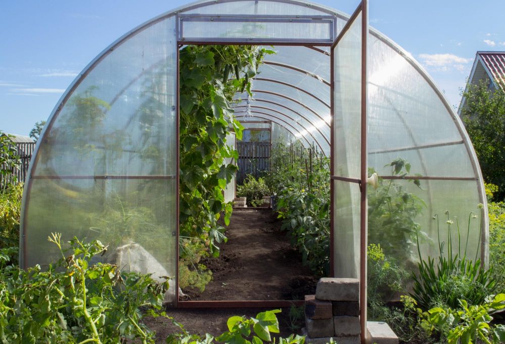 Szklarnia owalna