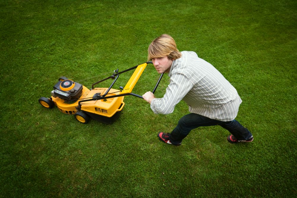 Zdrowy trawnik od podstaw
