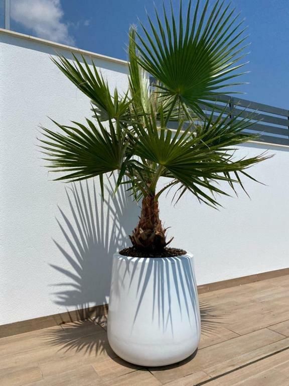 Donice z włókna szklanego