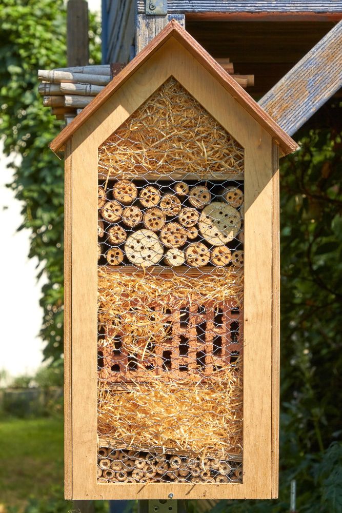 Domek dla owadów gdzie powiesić