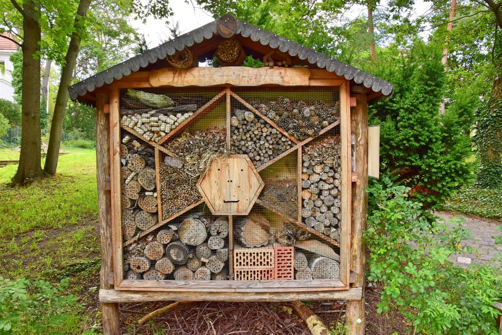 Jak zrobić domek dla owadów