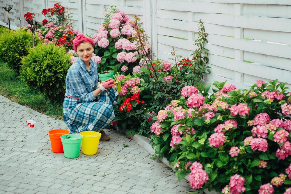 Przed domem aranżacja ogrodu przy płocie