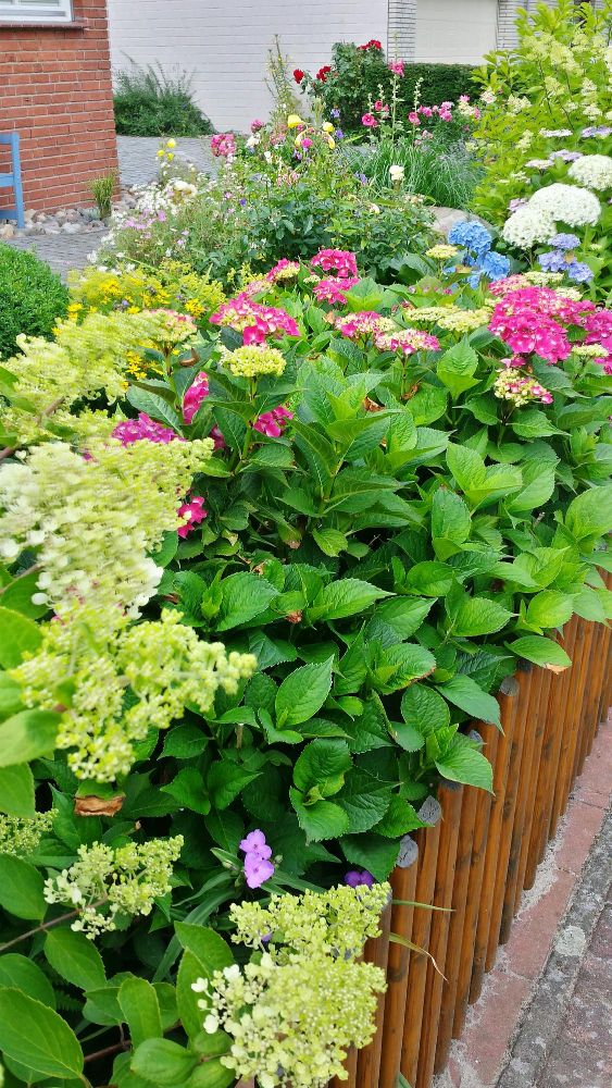 Rabata ogród wzdłuż płotu