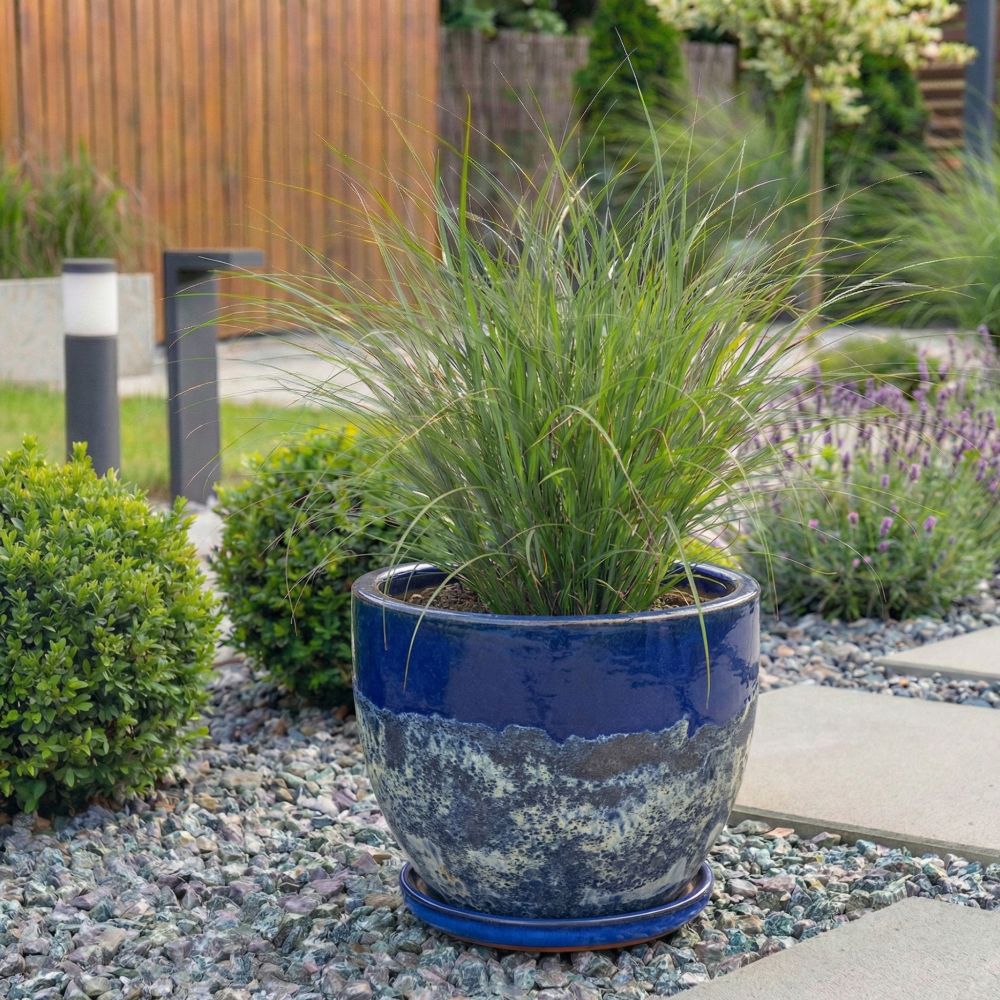 Rodzaje donic ogrodowych