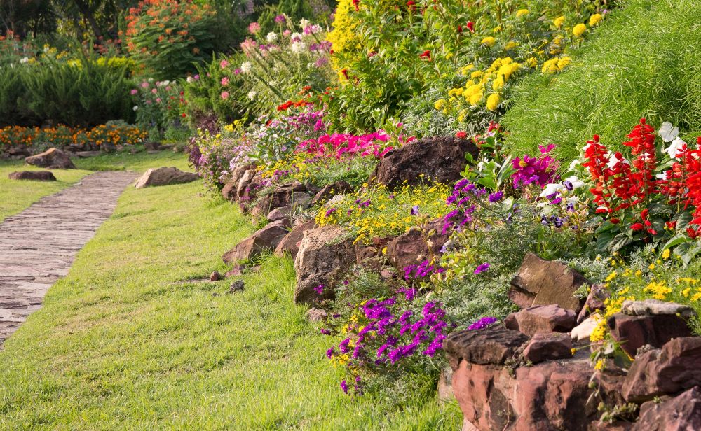 Rośliny na skarpę w ogrodzie